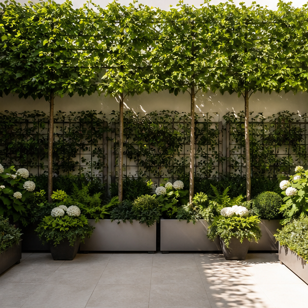 Courtyard Garden Ideas privacy edge